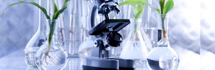 Delta Life Care Pharmacy Laboratory